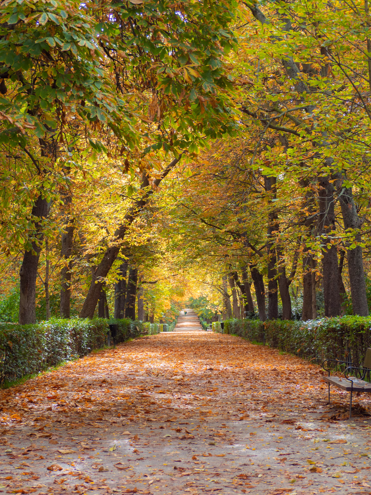 outono madrid